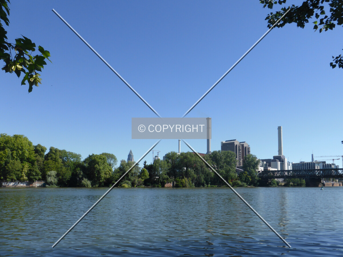 Photo 427-636-410
