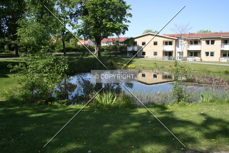 Photo 428-005-916