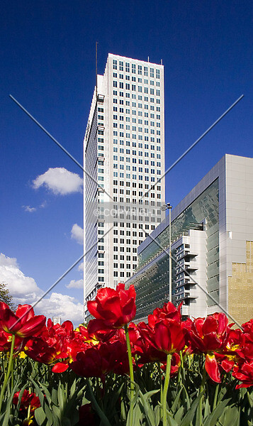 Photo 428-256-758