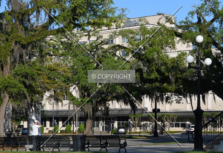 Photo 428-261-127