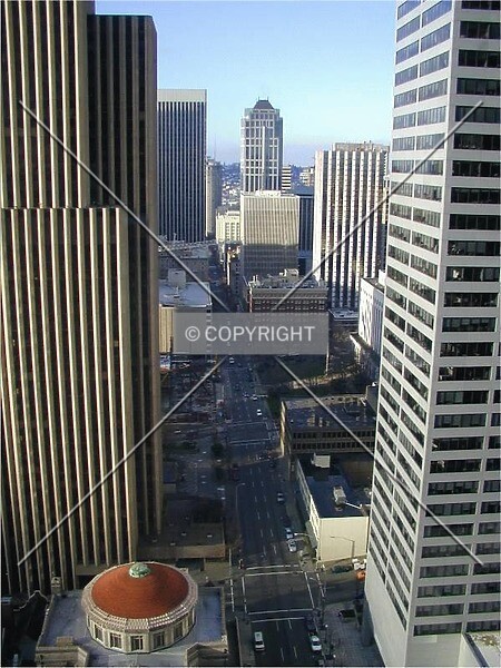Photo 428-445-335