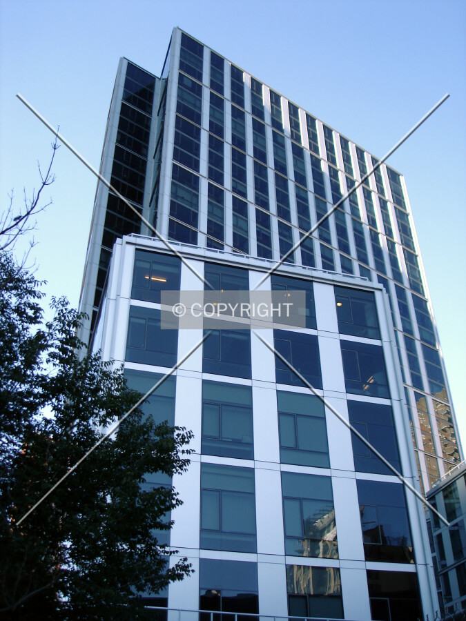 View of the rear