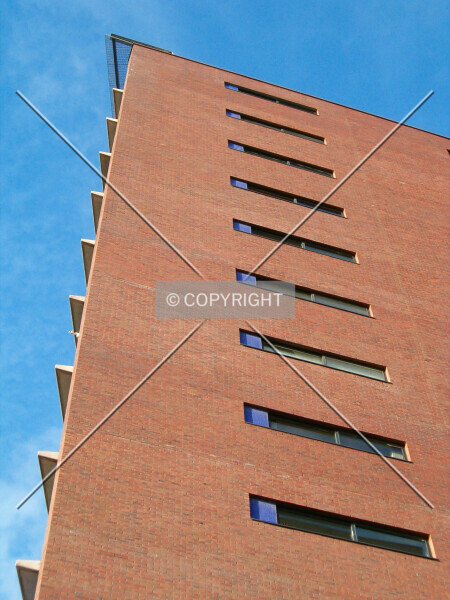 Photo 430-670-469