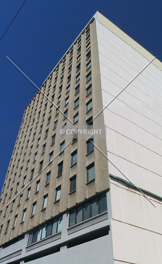 Looking up from Angelo Street