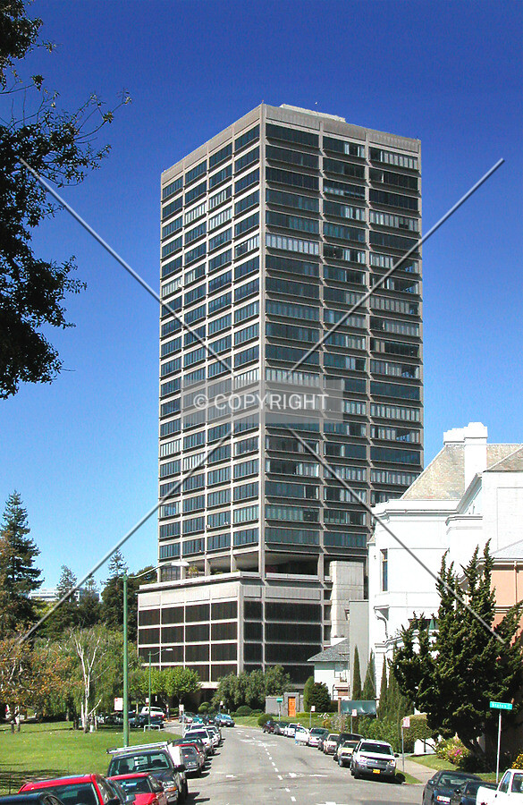 The tower, the park and the neighborhood