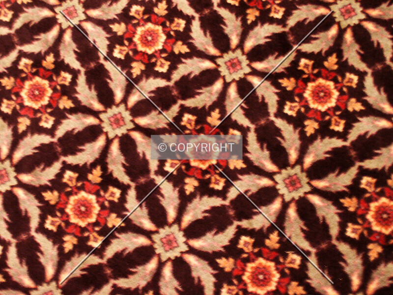 Photo 434-342-787