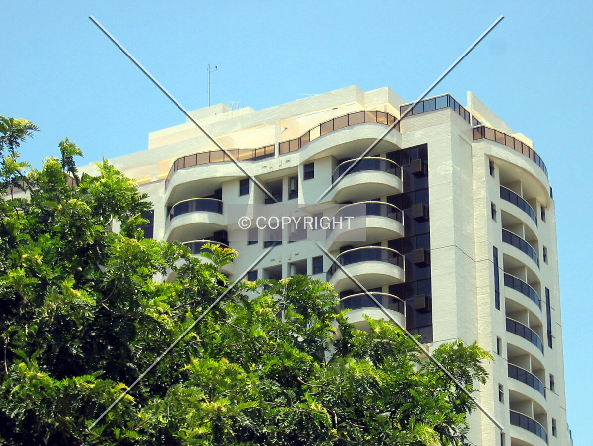 Top floors behind native tree