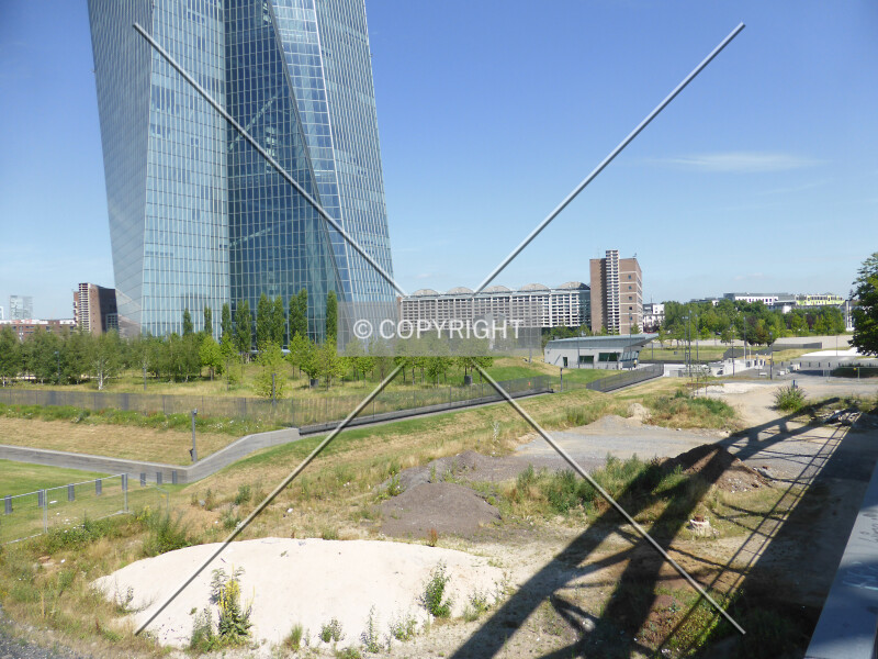 Photo 436-368-251