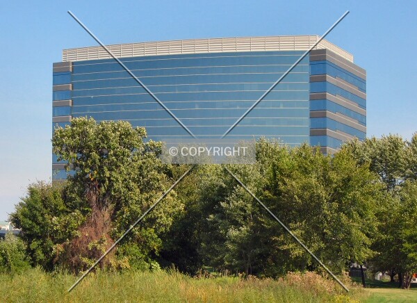 Top floors from the Hyland Lake Park walking path