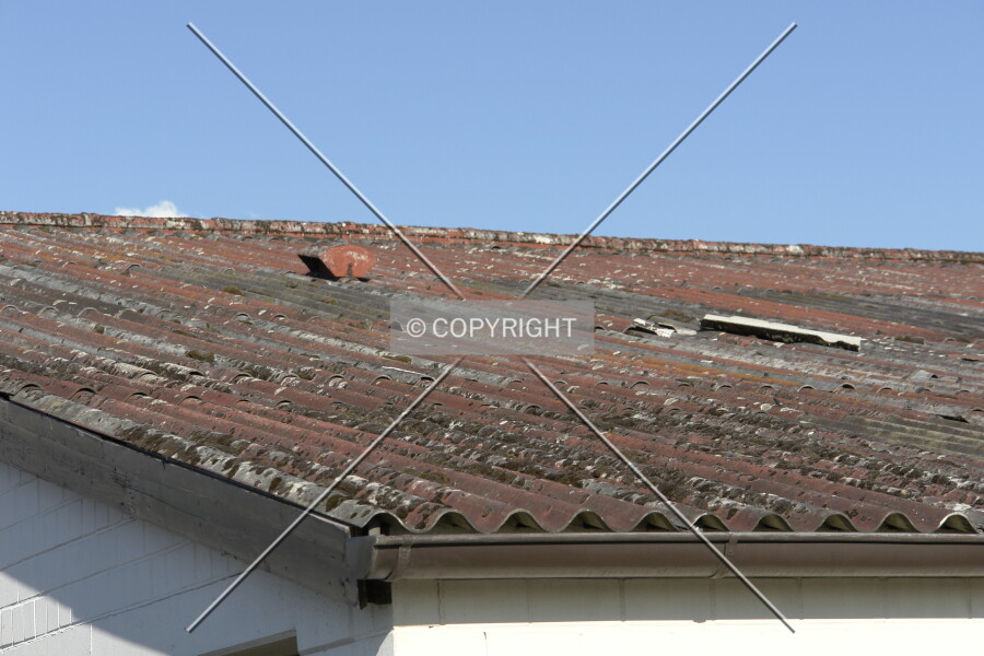 Photo 436-763-871