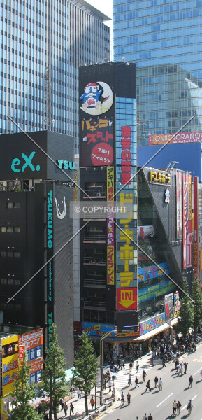 Photo 438-034-683