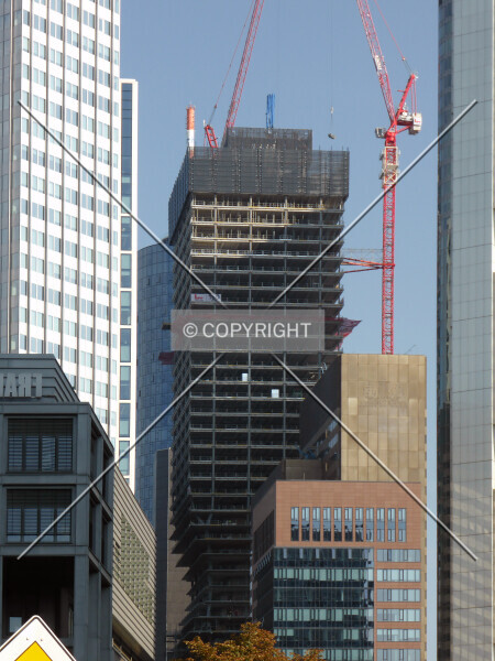 Photo 438-116-488