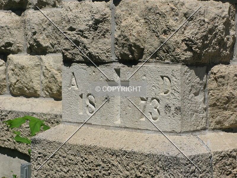 Photo 440-268-857