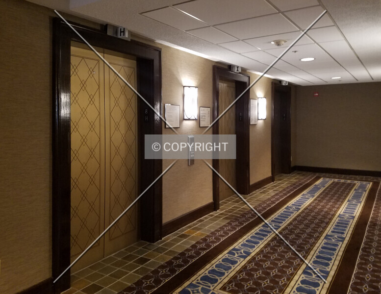 Photo 440-328-932