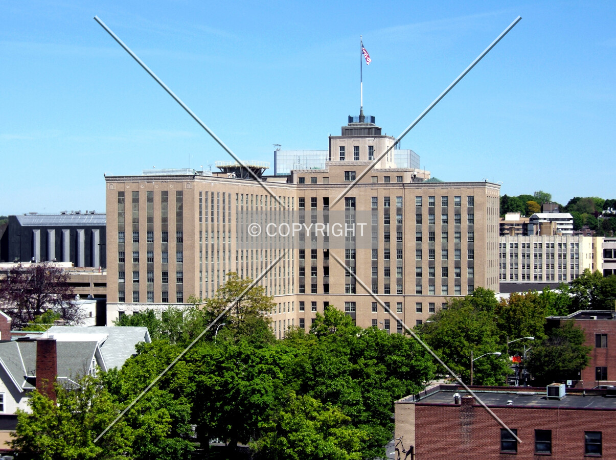 View from the southeast