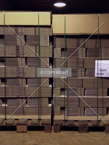 Photo 441-028-463