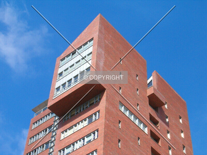 Photo 441-231-542