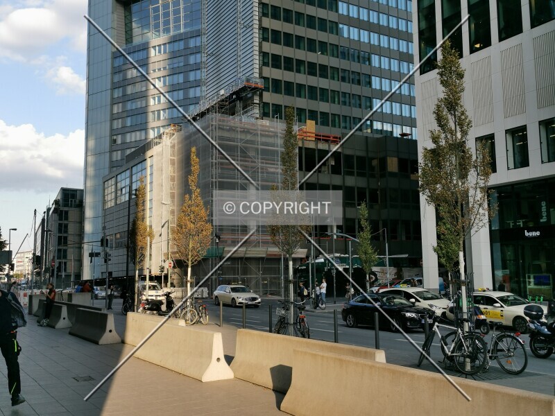 Photo 442-028-198
