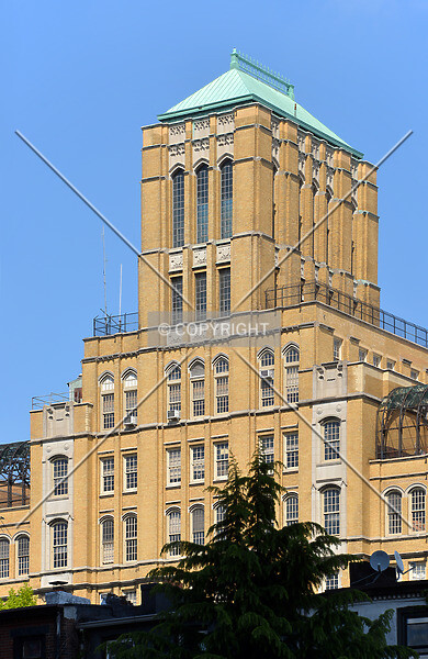 Photo 442-782-235