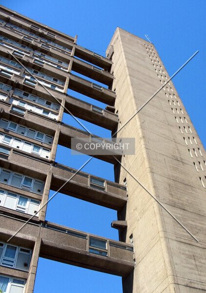 Photo 444-469-743