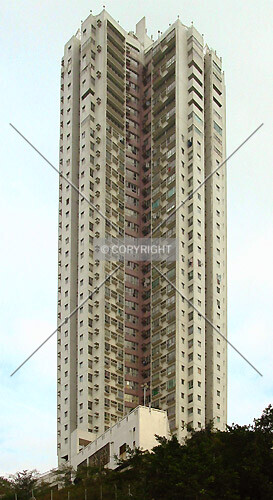 Photo 445-043-287