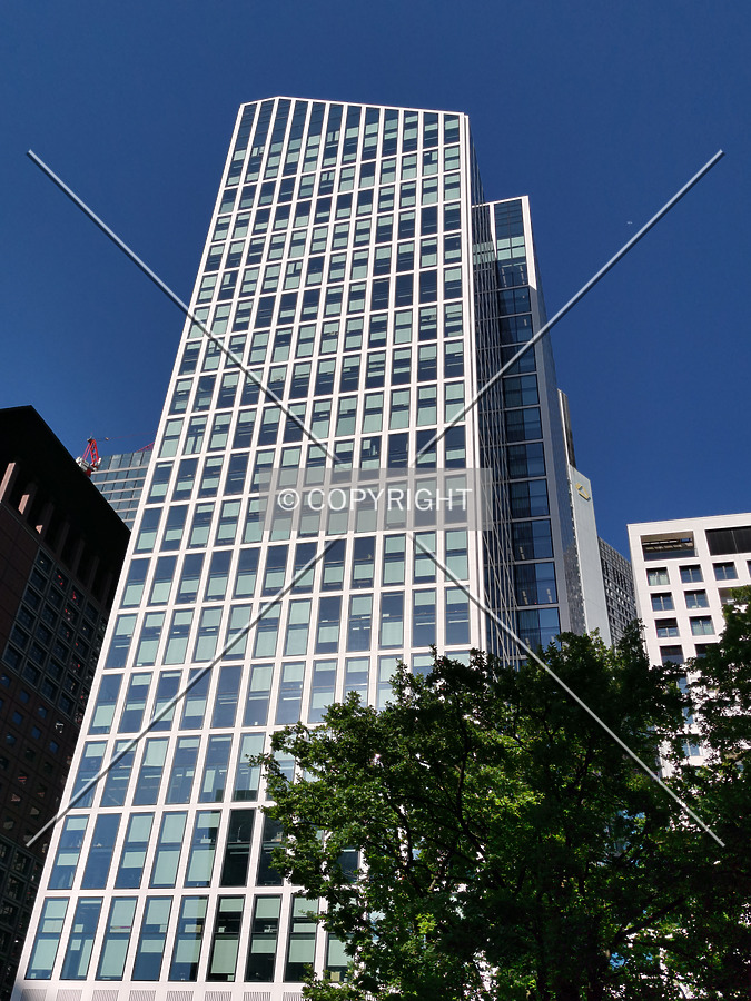 Photo 445-221-864