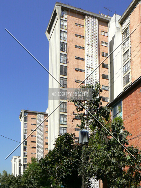 Photo 445-288-478