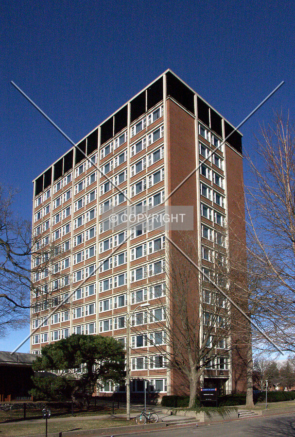 View from the southeast
