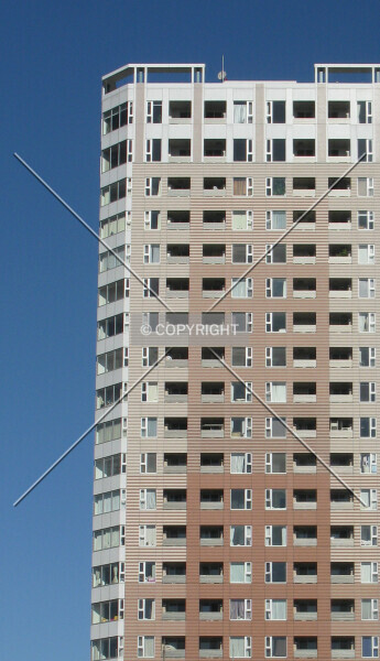 Photo 446-396-040