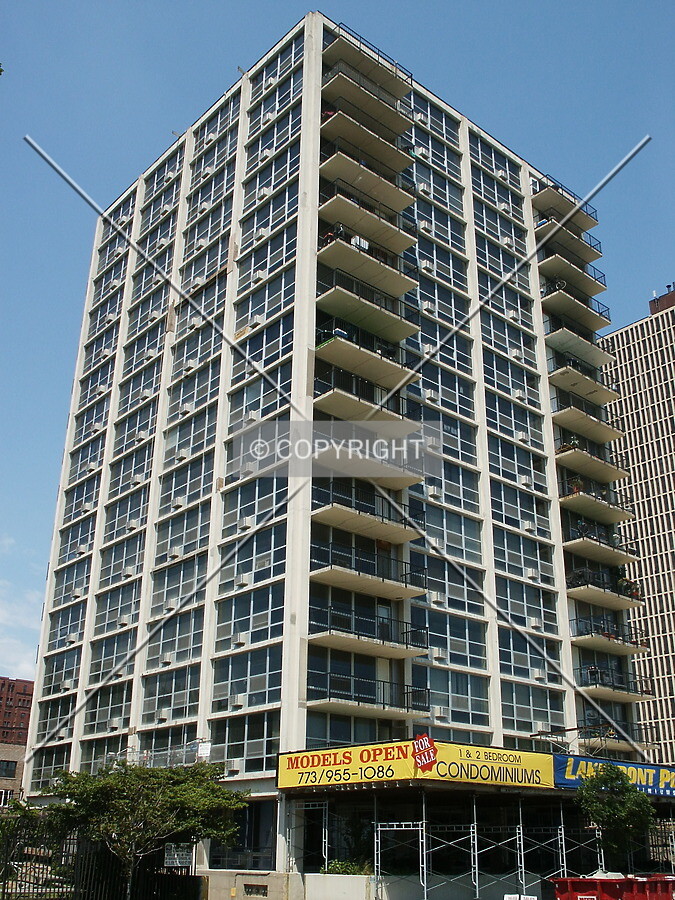View from the southeast