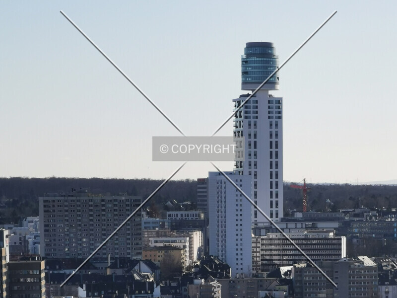 Photo 447-542-331