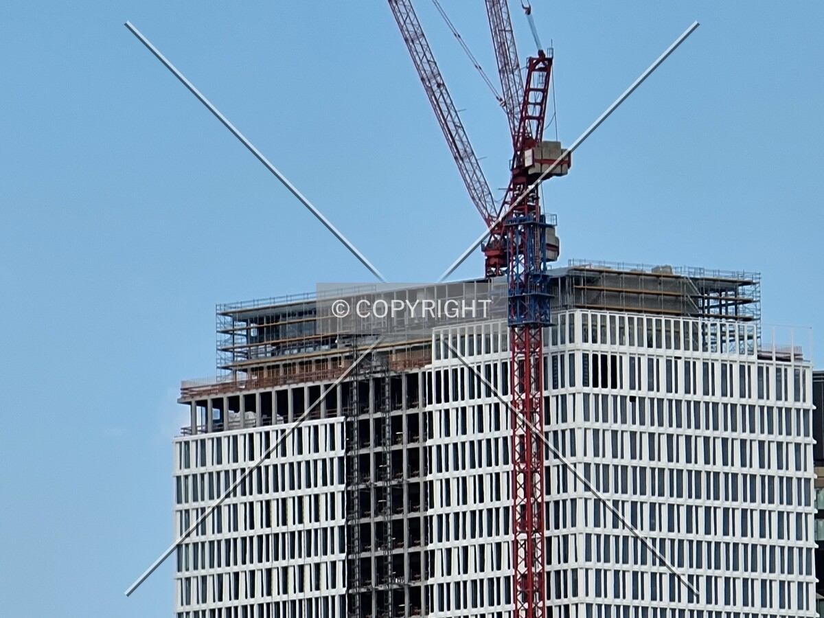 Photo 447-956-219