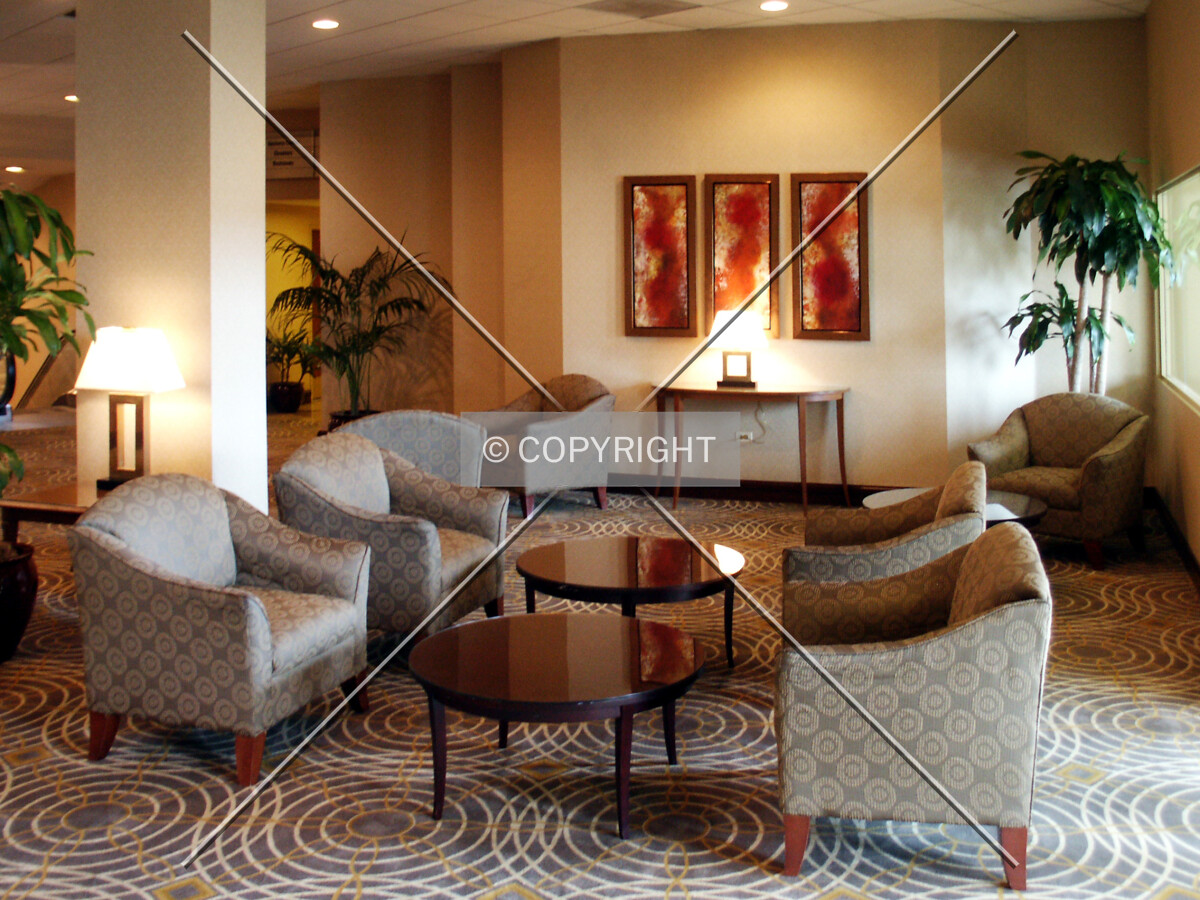 Lounge on the lower level