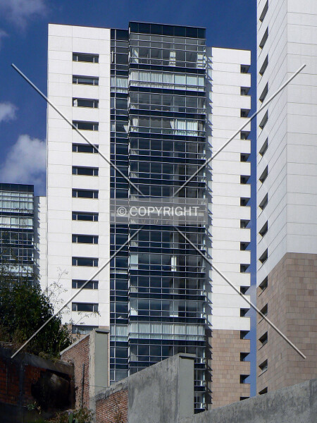 Photo 450-272-447