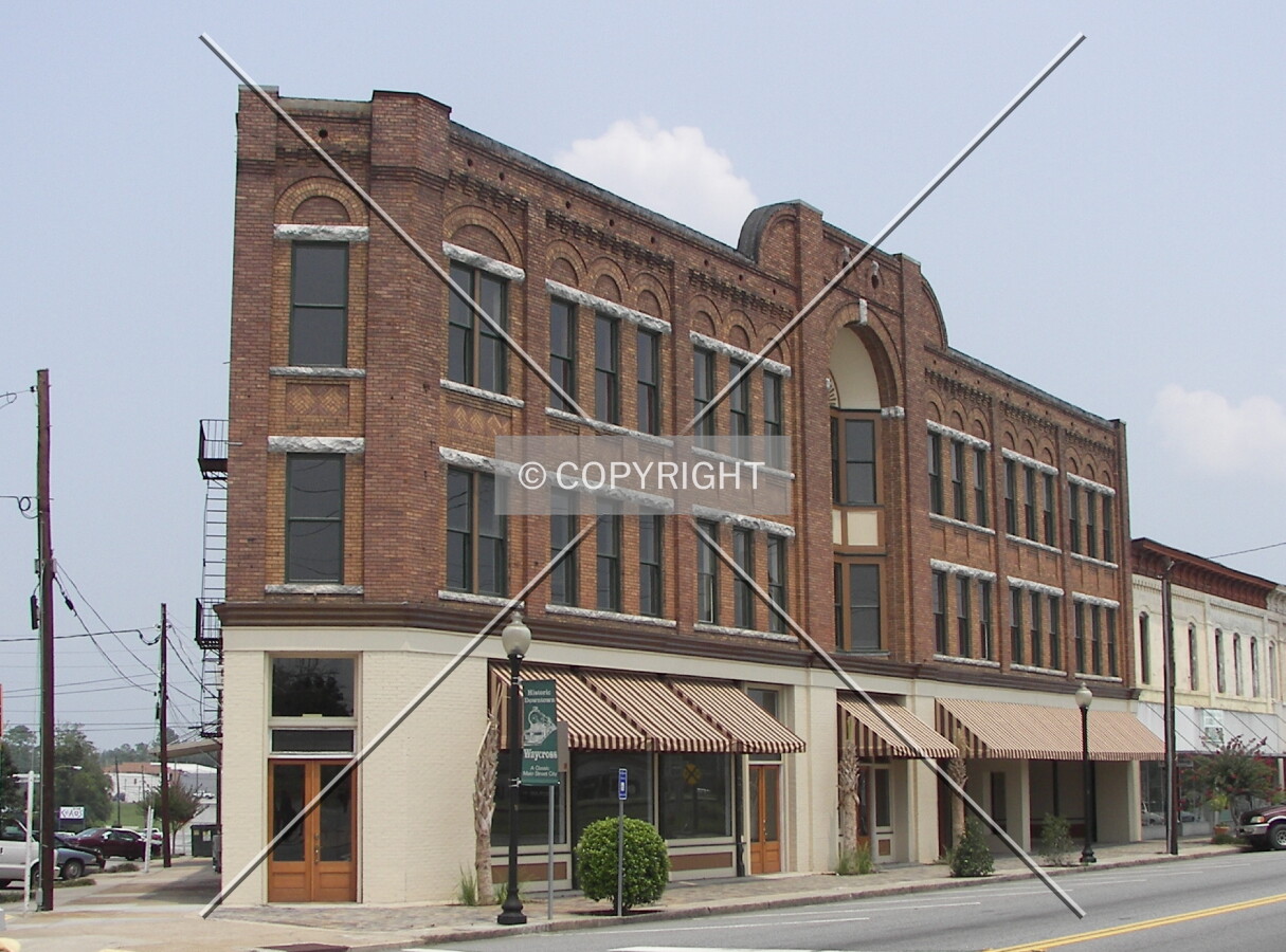 View from Plant Avenue