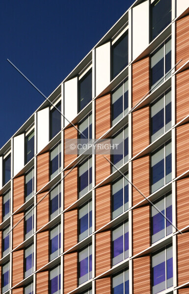 Photo 453-796-124
