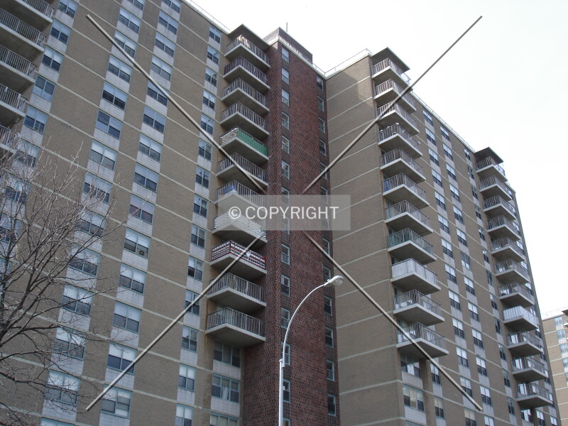 Photo 454-281-553