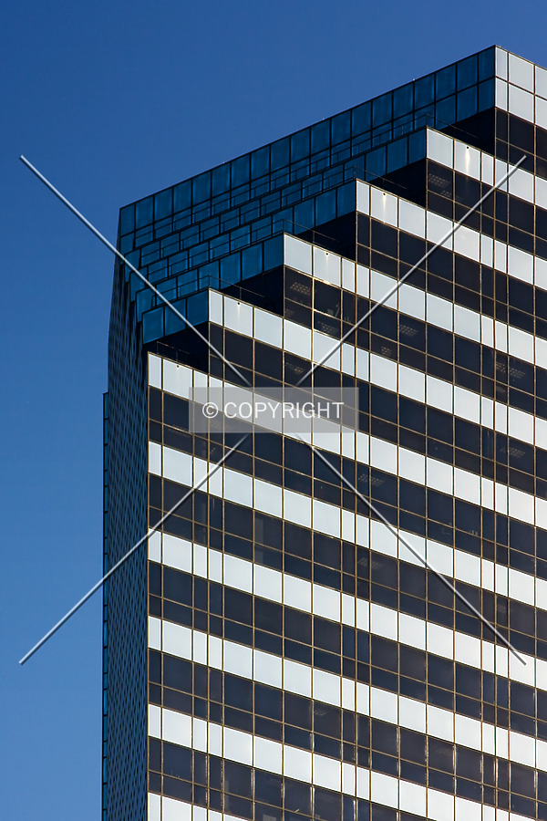 Photo 454-419-921
