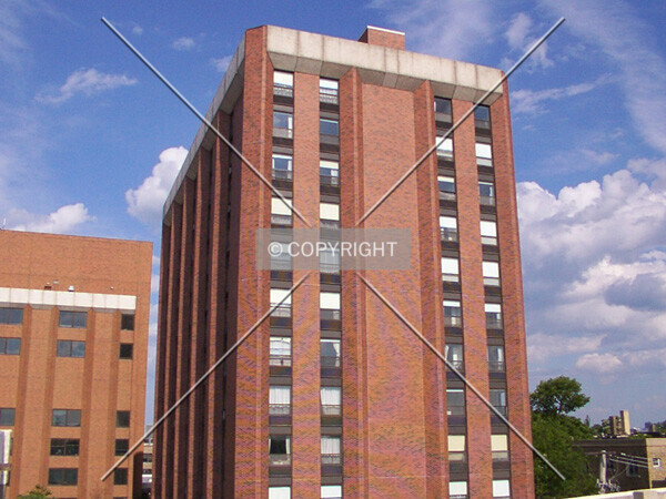 Photo 455-391-018