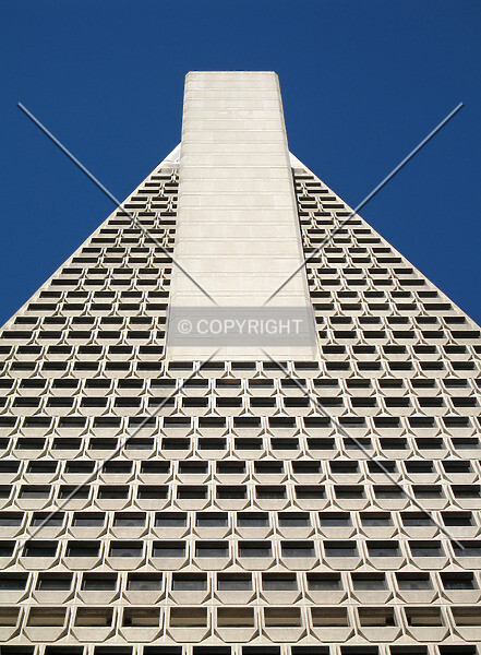 Photo 455-975-093