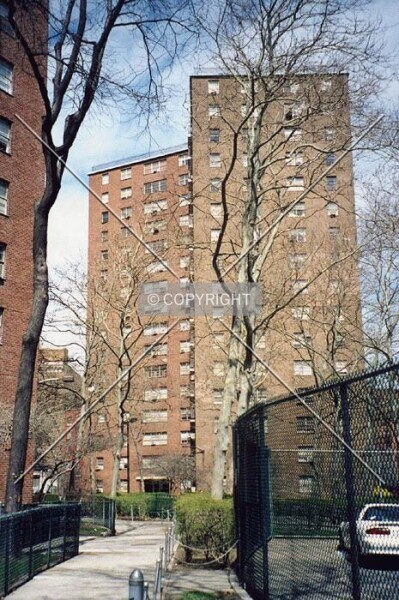Photo 458-511-239