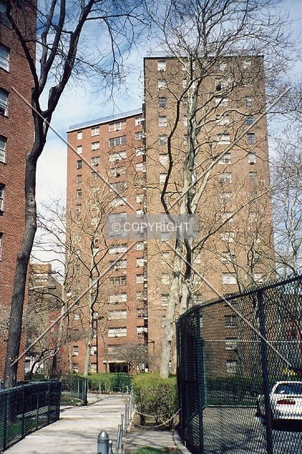 View from the south