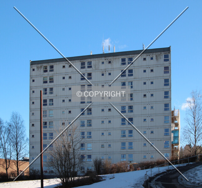 Photo 459-213-223