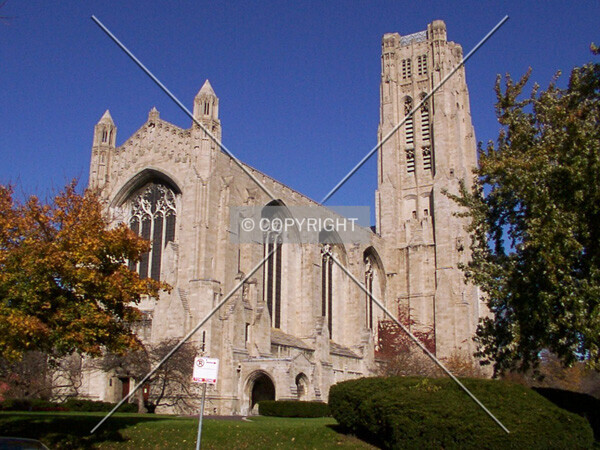 Photo 460-180-823