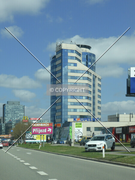 Photo 461-007-775