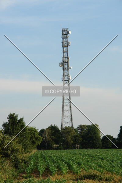 Photo 461-176-380