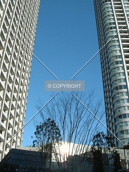 Photo 461-186-073