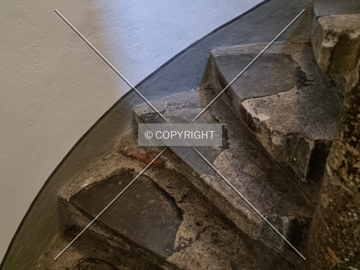 Photo 462-597-209