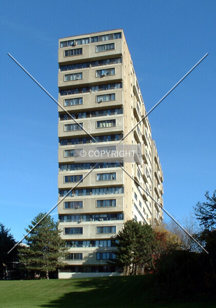 Photo 463-297-446