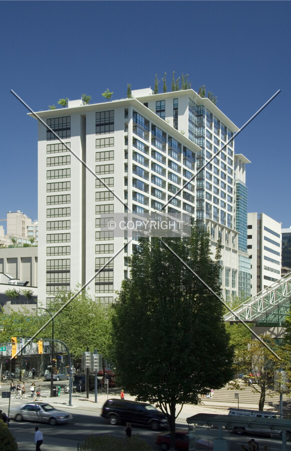 View from the south